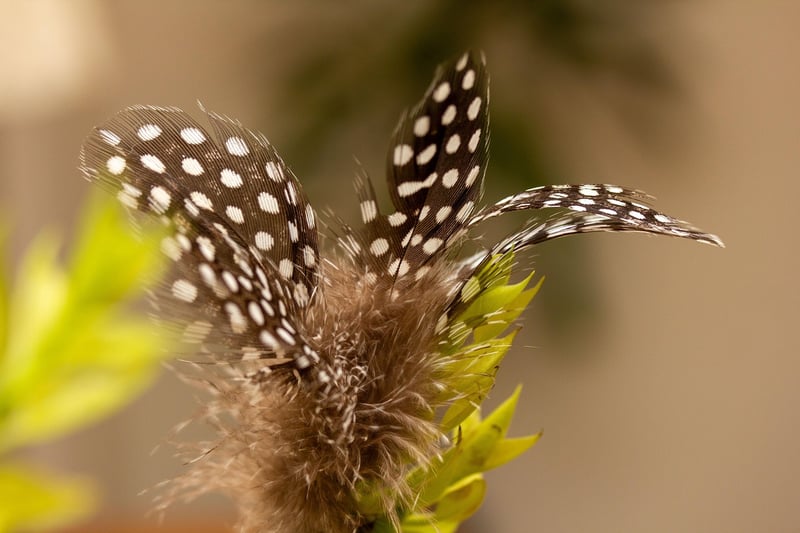 Alternate Timeline Crisis